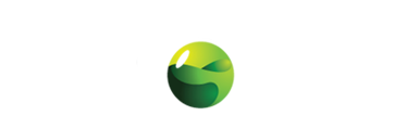E-IONS Logo